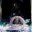 [Cover Thumb]