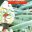 [Cover Thumb]